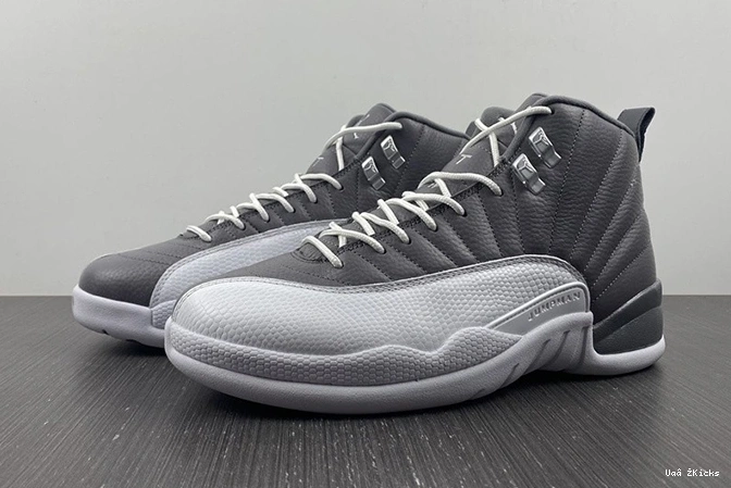 Jordan Durable 12 STEALTH CT8025-610 Air 754 0713